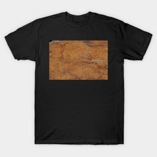 Shale stone T-Shirt